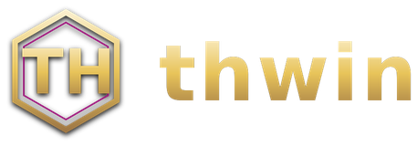 thwin โลโก้